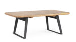 Klubska mizica NASHIK 118X70, je narejena iz mangovega lesa ter nogic iz jekla. Material: Mangov les Jeklo Dimenzije: širina: 118cm globina: 70cm višina: