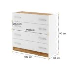 Komoda DANI je primerna za vsako spalnico. Ima moderen dizajn in elegantne linije. Vsebuje 4 predale. Material: - Laminirana plo&scaron;ča - ABS robovi
