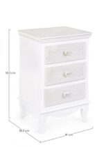 Predalnik 3C CHARLENE je kvalitetno narejena, dobavljiva v beli barvi. Izdelana je iz MDF-a. Material: - MDF Barva: - Bela Dimenzije: &scaron;irina: 41cm